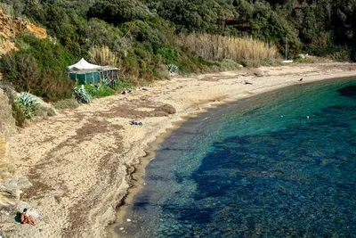 Отдых на острове Эльба в Италии, цены на 2023-2024 год. Подбор тура