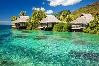 Французская Полинезия: отдых во Французской Полинезии, виза, туры, курорты,  отели и отзывы