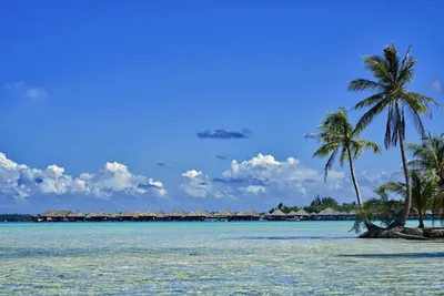 Остров Французская Полинезия Moorea Стоковое Изображение - изображение  насчитывающей ясность, вакханические: 53974667