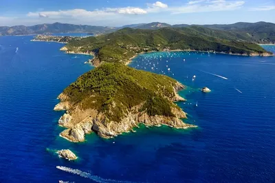 Украинский миллионер купил себе живописный остров в Италии. Местные власти  хотят признать сделку недействительной и вернуть остров государству - Turist