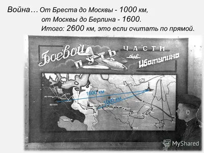 От Москвы до Берлина: невероятные приключения пса «Верного» из Волжского