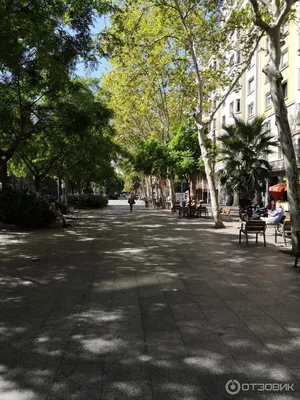 Отдых в Барселоне 2023: что посмотреть и чем заняться на отдыхе