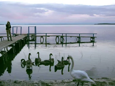 ОТДЫХ В БЕЛОРУССИИ: Красота природы, чистый воздух и уют озера СВИТЯЗЬ |  ArtemLand | Дзен