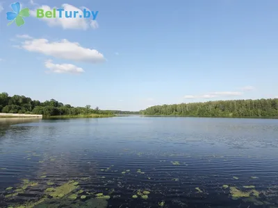 Летний отдых в Беларуси, что представляет собой отдых в Беларуси.