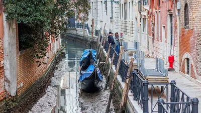 Пара Влюбленных На Отдых В Венеции, Италия - Туристы, Имеющие Поездку На  Венецианский Гондоле Фотография, картинки, изображения и сток-фотография  без роялти. Image 68984312