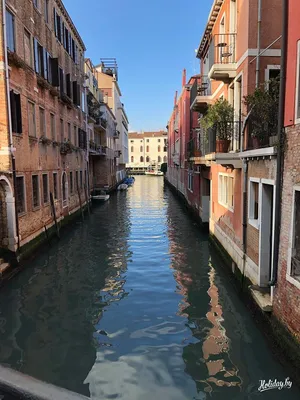 Отзыв о Отдых в Венеции (Италия, Венеция) | Единственная в своем роде  Венеция