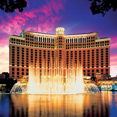 Bellagio Hotel en Las Vegas y sus jardines de fantasía | Architectural  Digest