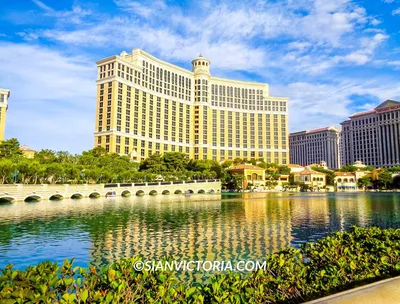 Bellagio Las Vegas Hotel Review (2024)