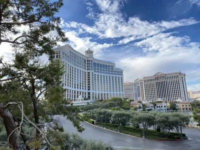 Bellagio Las Vegas Pool: 5 Pools, Which One is For You? - Midlife Miles