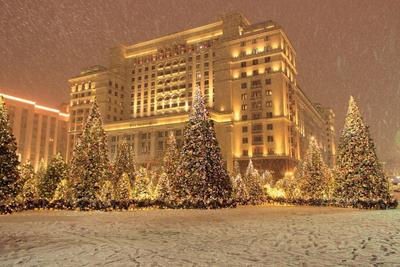 Hotel Four Seasons Hotel Moscow, Russia - book now, 2024 prices