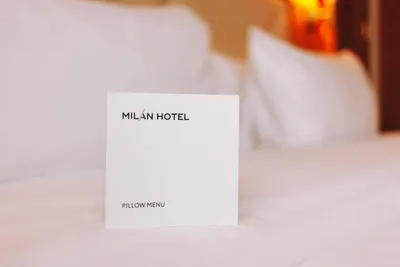 Отель Милан | Успешные проекты компании «Palatin Stone»