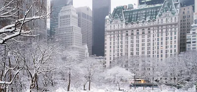 Luxury Hotel Near Central Park | 5 Star Hotel in NYC | The Plaza Hotel