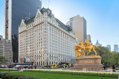 The Most Requested Suite at New York's Plaza Hotel | Architectural Digest