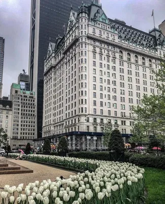 The Plaza Hotel | Central Park, New York
