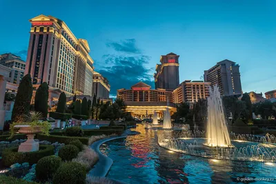 10 лучших отелей и гостиниц 5* звезд в Лас-Вегасе - Tripadvisor