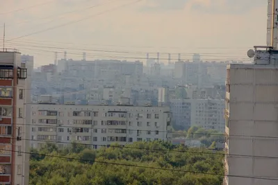 Отрадное, Москва (2020 год) | Проекты благоустройства от компании Punto  Group