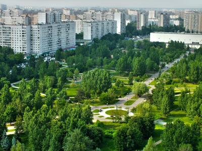 Парк \"Отрадное\", Москва - «Красивый парк на северо-востоке Москвы.  Подробный обзор парка \"Отрадное\": интересные места, инфраструктура, услуги  и цены. » | отзывы