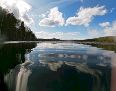 Озеро Смолино в Челябинске стало зеленым - 20 марта 2022 - 74.ру