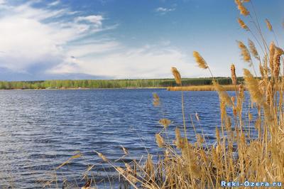 Озеро появится вместо Коркинского разреза в Челябинской области │ Челябинск  сегодня