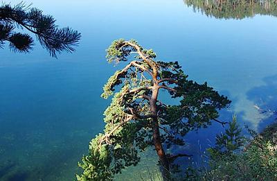 Озеро Увильды – уральская жемчужина — Ураловед