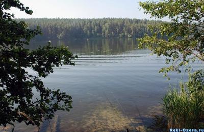 Готовимся к уикенду: 10 самых-самых озер Челябинской области | ВКонтакте