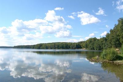 Озеро еловое Челябинская область фото