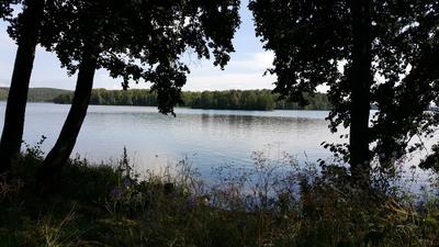 Отдых на озере Еловое — базы отдыха, цены 2024, фото, отзывы, как добраться