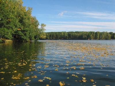 Озеро Еловое в Челябинской области