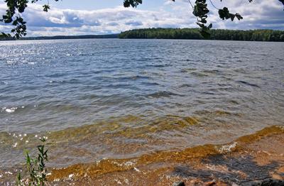 Озеро Еловое и три его острова | marshrut-74 | Дзен