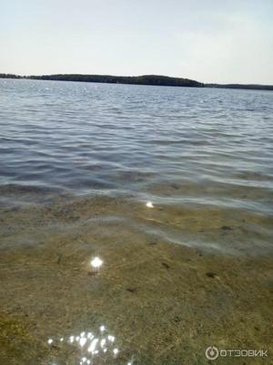 Базы отдыха на озере Еловое - цены 2024, турбазы на берегу