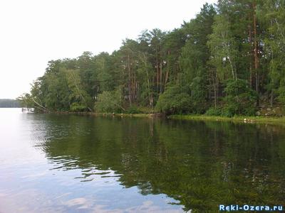 Еловое озеро в Челябинской области 2024