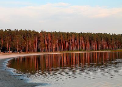 Горькое озеро, поселок Курорт Озеро (Тихоновка) Курганская область, Россия  - «Грязевой курорт в Курганской области» | отзывы