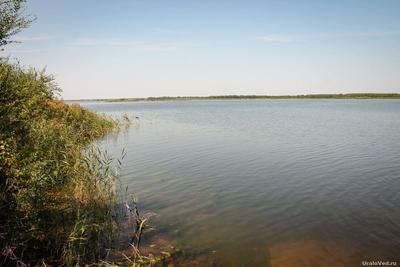 Озеро Горькое и санаторий «Сосновая роща» — Ураловед