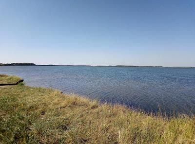 Озеро Большое Птичье Шумихинского района Курганской области