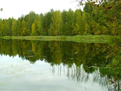 Озеро круглое Шарыпово - 80 фото