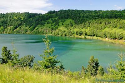 Озеро Инголь - 76 фото