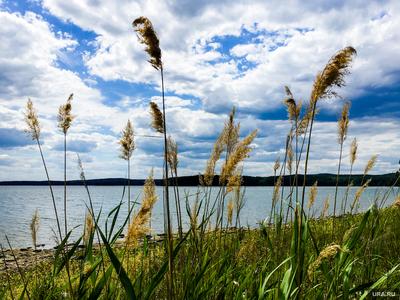 Чем удивляет Сладкое озеро: легенда, целебность, особенности и пейзажи |  Направление - РОССИЯ | Дзен