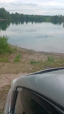 Озеро Старица (Рыбачье) в Новосибирске. Отзывы, температура воды, цены.  Отели рядом, фото, видео, как добраться — Туристер. Ру