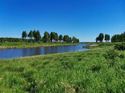 Новосибирский район, Озеро Старица — 2ГИС