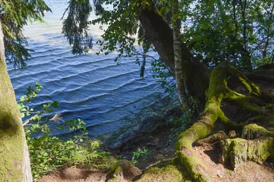 Озеро Свитязь, главный пляж - как добраться и что посмотреть?