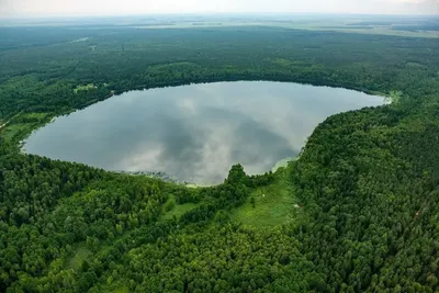 Где в Беларуси искупаться летом? (озеро Свитязь+Любчанский замок) | Easytour