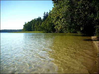 Свитязь (озеро, Украина) — Википедия