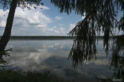 Озеро Свитязь - Ваш Отдых