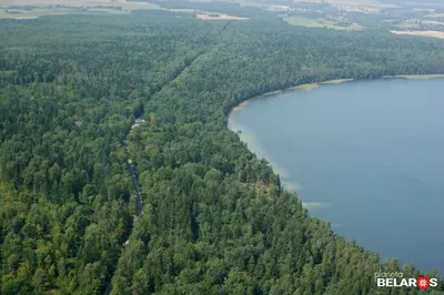 От Божьего ока до Нарочи. Топ-10 белорусских озер, на которых надо побывать  летом-2022 - KP.RU