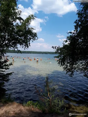 Белкартография - Одна из самых известных и самых трагичных легенд Беларуси  связана с озером Свитязь, которое по праву считается одним из самых  загадочных озер Беларуси. Когда-то давным-давно на месте озера располагался  богатый