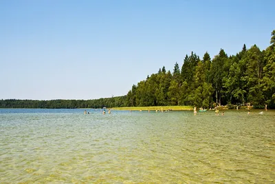 Озеро Свитязь – рыбалка, отдых, домики, цены