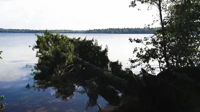Украинское озеро Свитязь стремительно высыхает. Виновата Беларусь?