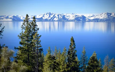 Обои озеро тахо, деревья, сьерра-невада, озеро, горы для рабочего стола  #94702