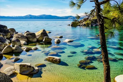 Солнечный летний день с четким зеленоватым открытым морем на стороне озера  тахо, Невада Стоковое Изображение - изображение насчитывающей калифорния,  зеленый: 182061771