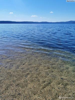 Вода цветет и пахнет: озеро Тургояк в Челябинской области покрылось зеленой  пленкой